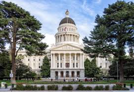 The 2021-22 Legislative Session